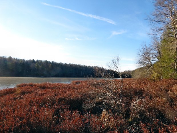 LongPondDec2012