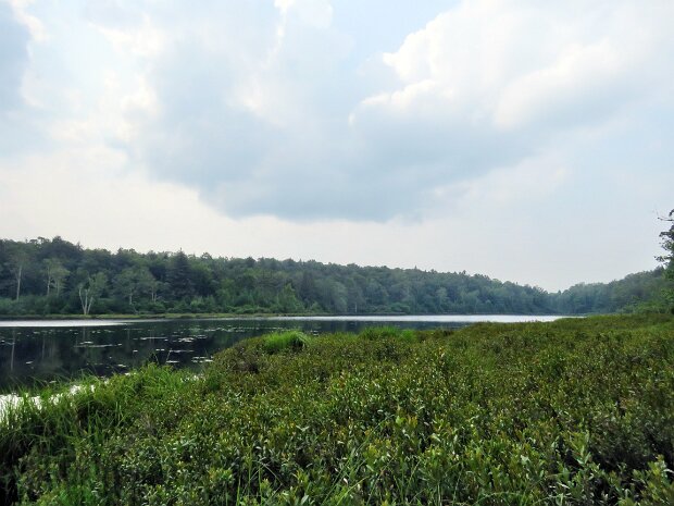 LongPondLoopAug2025