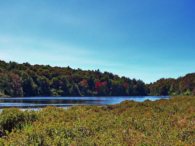 LongPondLoopSep2020