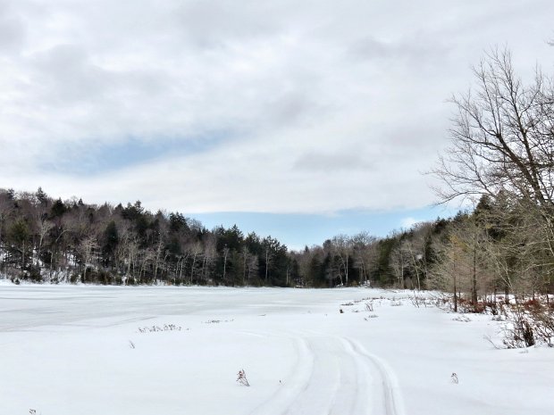 Long Pond