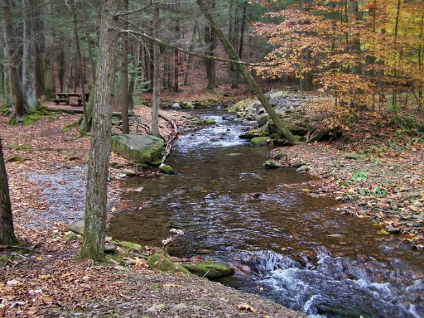 LoyalsockNov2008