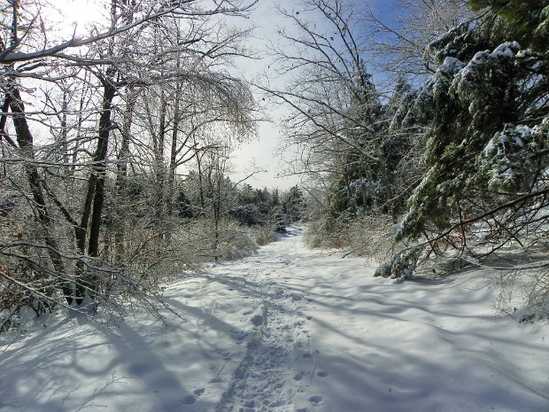 AwostingJan2011