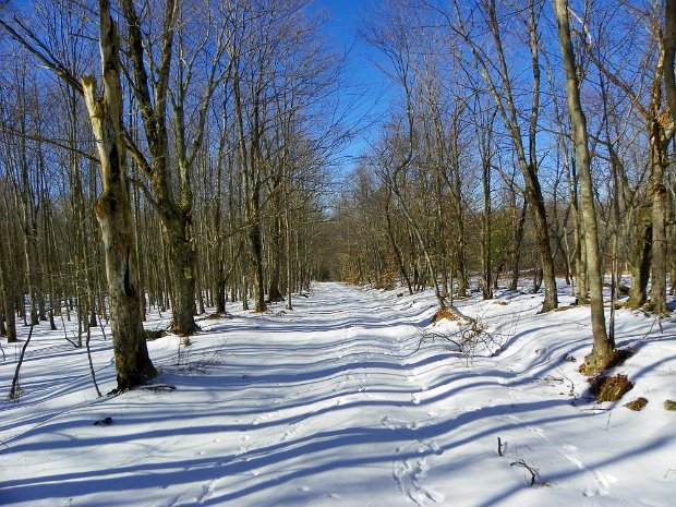 FallsLoopFeb2012