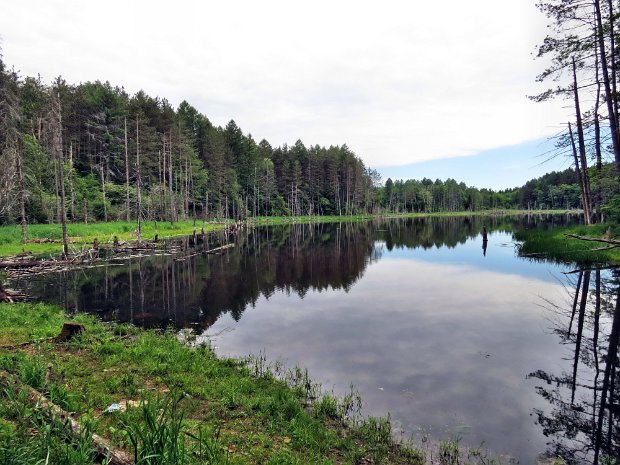 MorganHillJun2013