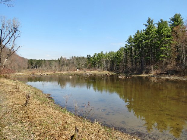 MorganHillMay2015