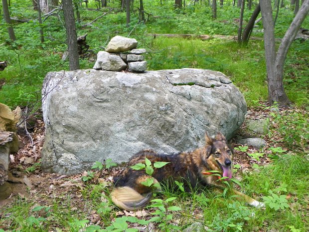 MorrisCoHPMay2010