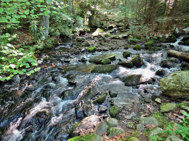 HighFallsJun2013