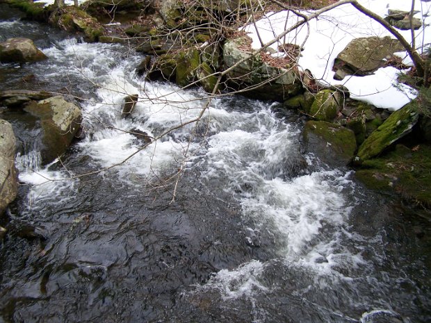 PalenvilleJan2008