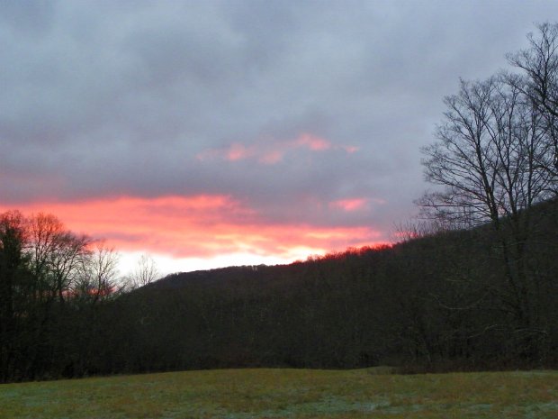 PalenvilleNov2010