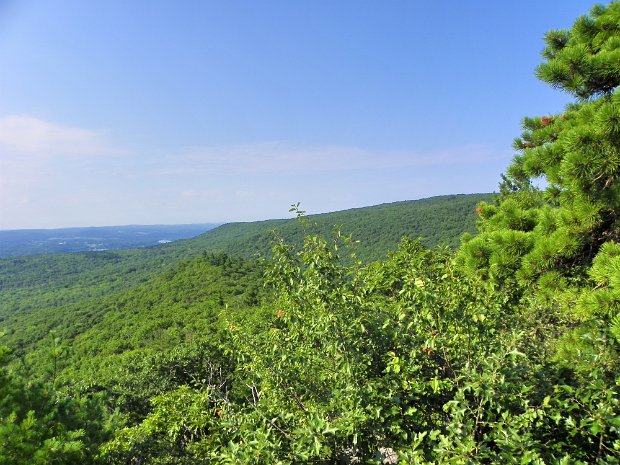 BearMtCTAug2010