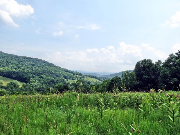 PalmerHillJul2014