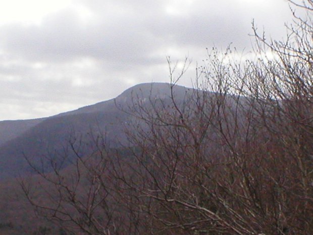 GiantPantherNov2005