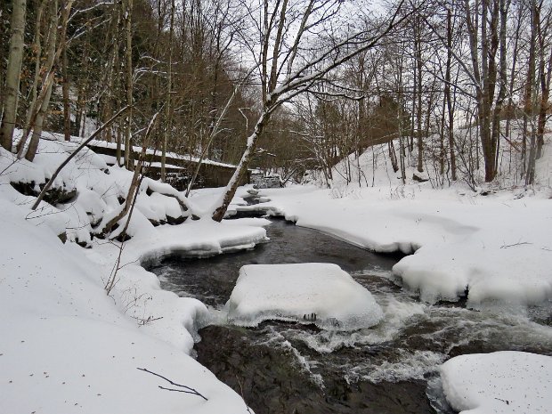 ParksvilleRailTrailSnowshoeJan2022