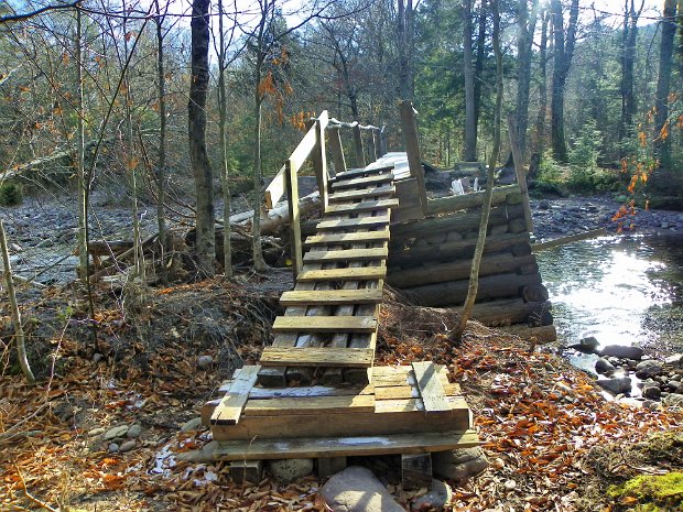 NerversinkDec2011