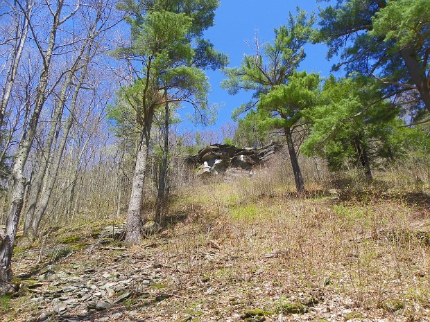 PrattsRockApr2011