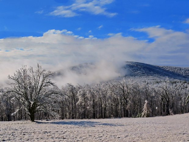 RedHillDec2019