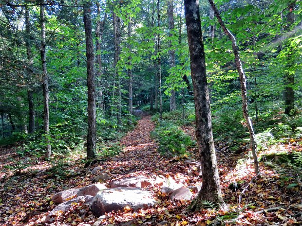 RedHillDenningSep2021