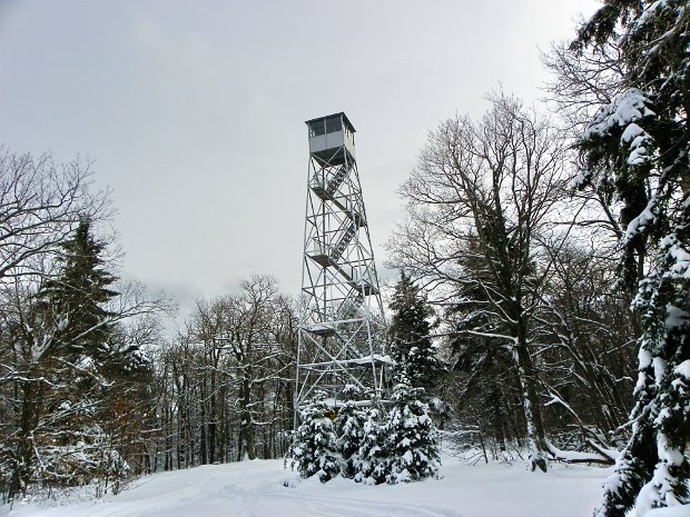 RedHillJan2011