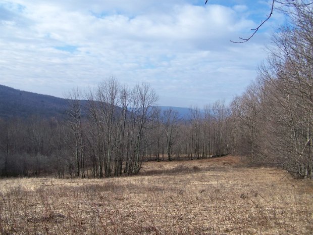 RedkillMar2009