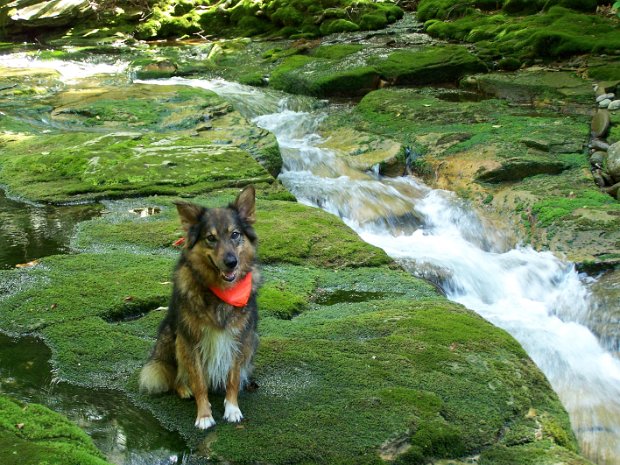 RockyLoneAug2008