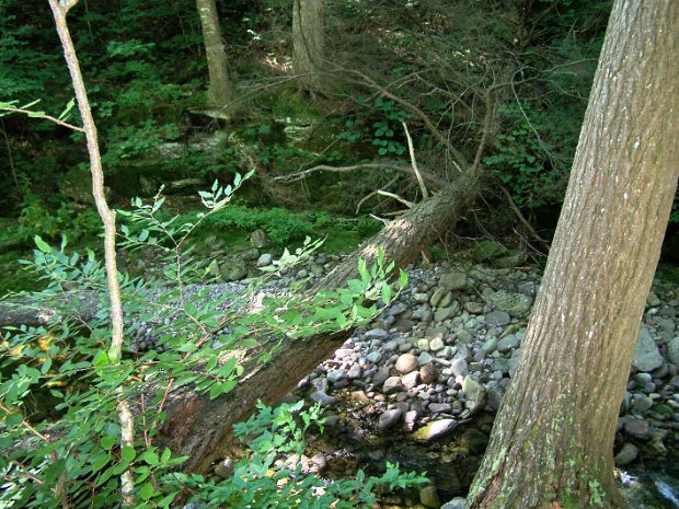 RockyLoneJul2007