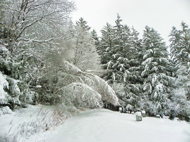 RoundTopFeb2010