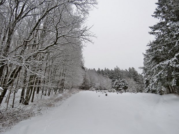 RoundTopSnowDec2019
