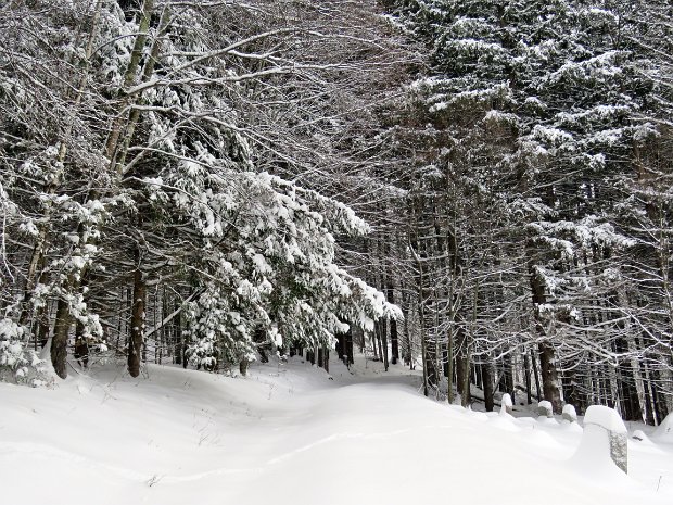 RoundTopSnowshoeNov2018