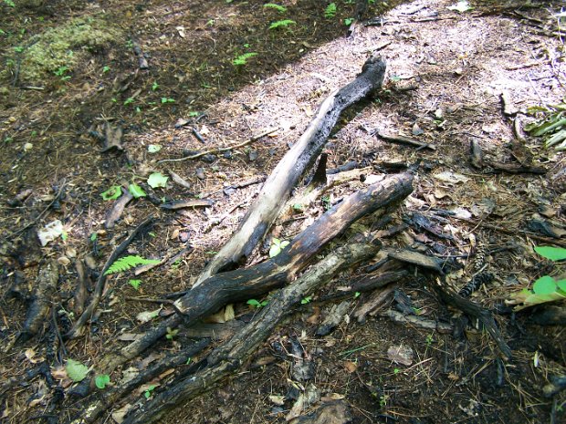 SRTJun2009