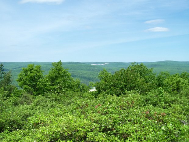 SRTMay2009