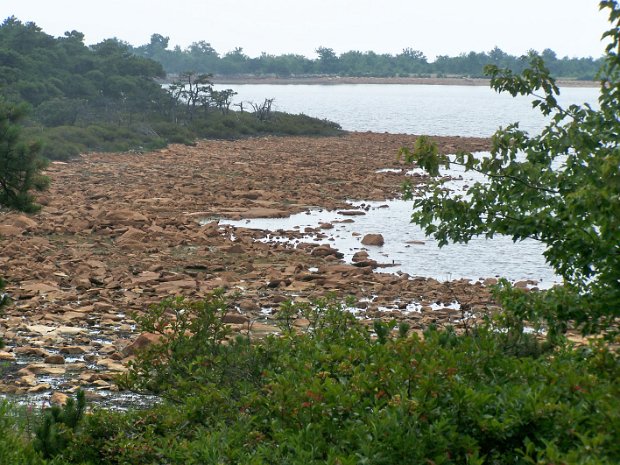 SamsPtJul2007