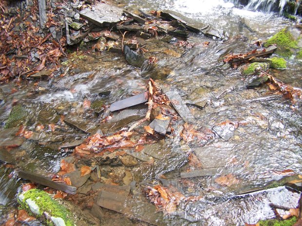 SouthGullyMay2008