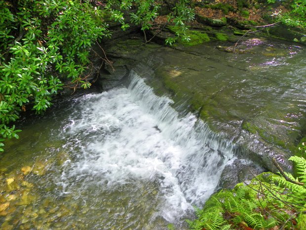 SouthGullyMay2011