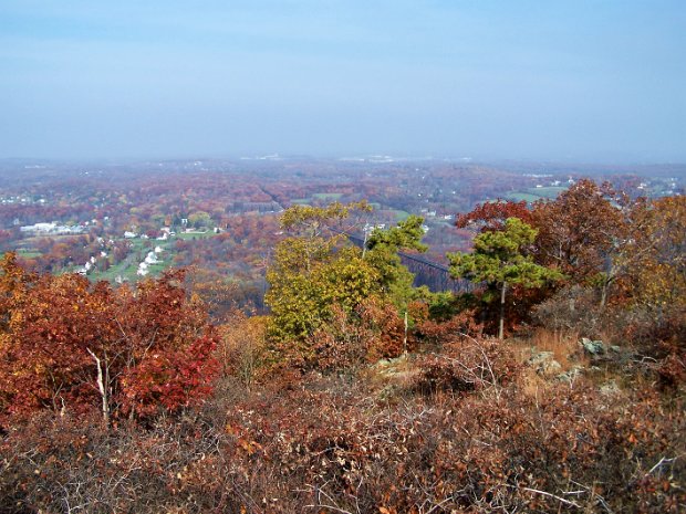 SchunemunkNov2008