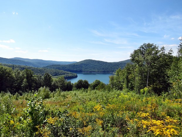 ShavertownAug2013B