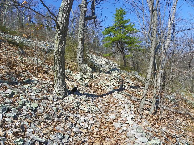 Shenandoah National Park