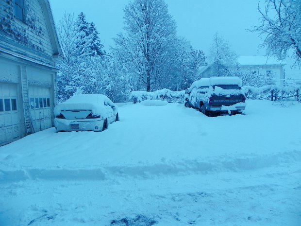 Snow022410