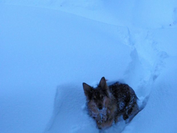 Snow022610