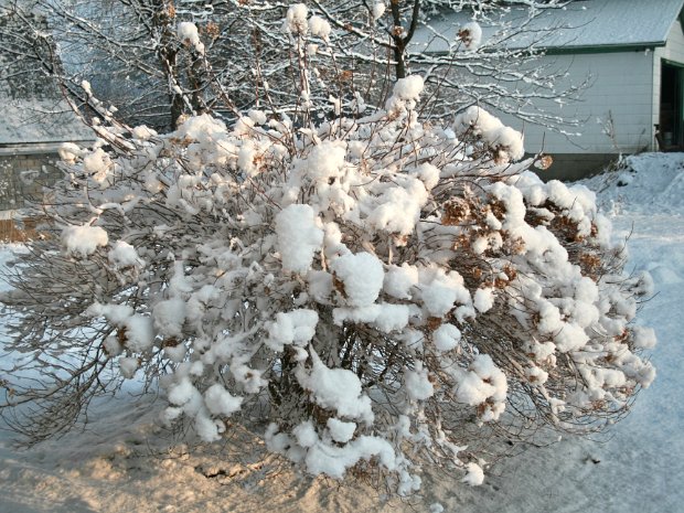 SpringSnowMar2008