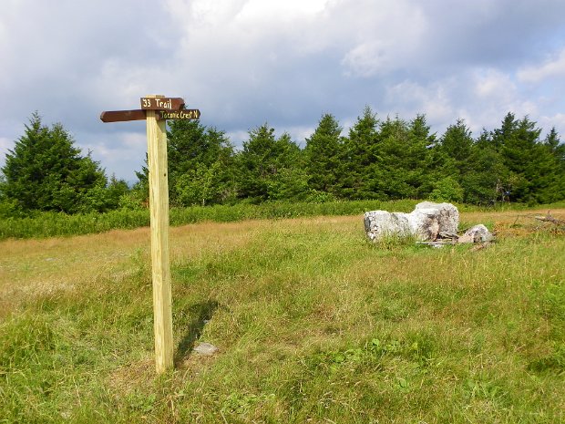 Taconic Crest