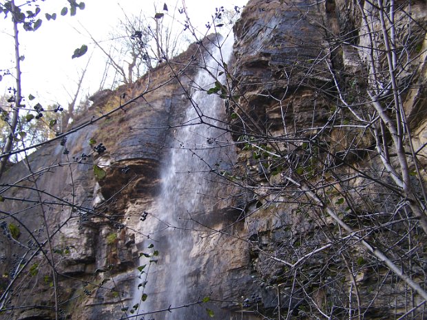 ThacherNov2006