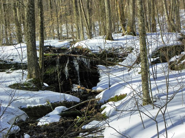 CampbellMtMar2011