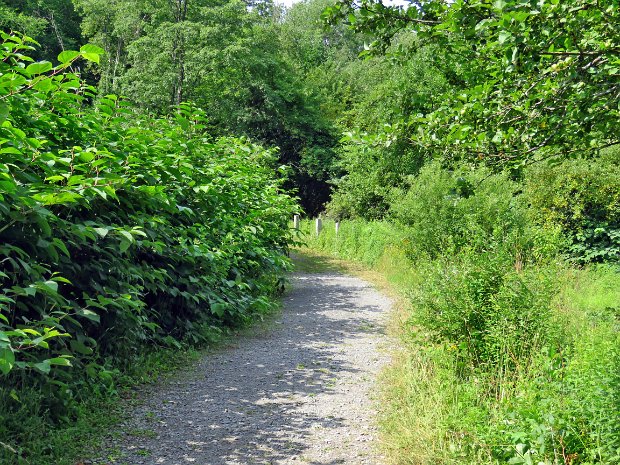 MudPondLoopJul2016