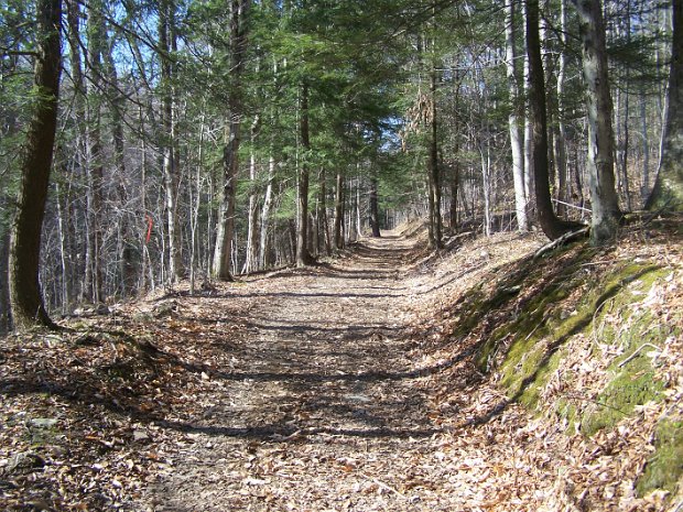 TroutApr2008