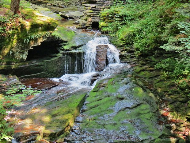 TroutAug2015