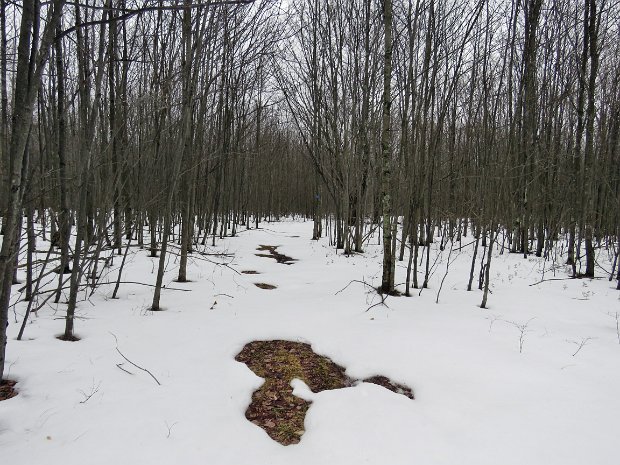 TroutClockFeb2018