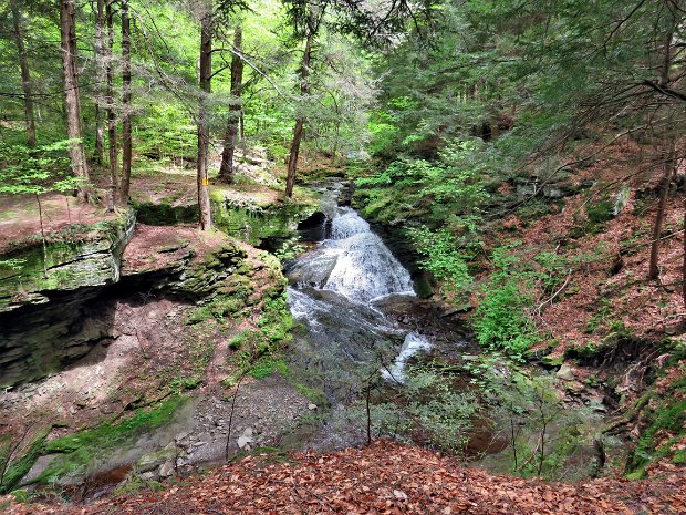 TroutClockMay2019