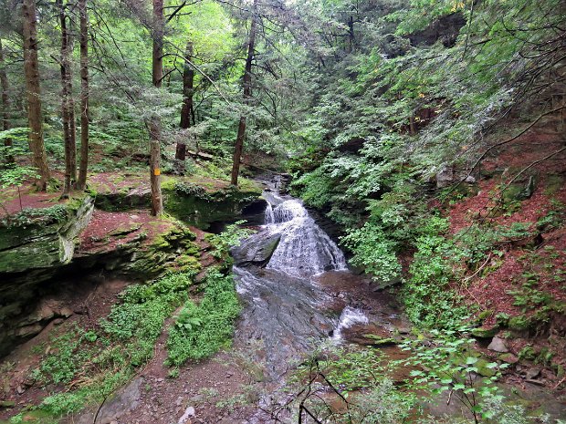 TroutCounterAug2019
