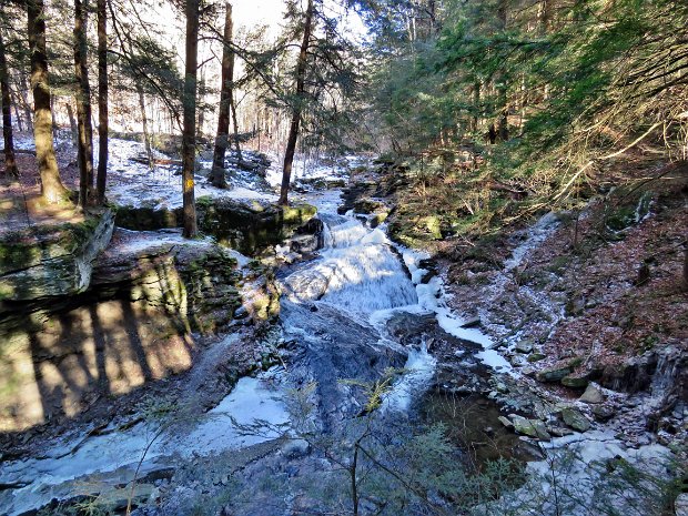 TroutCounterJan2018