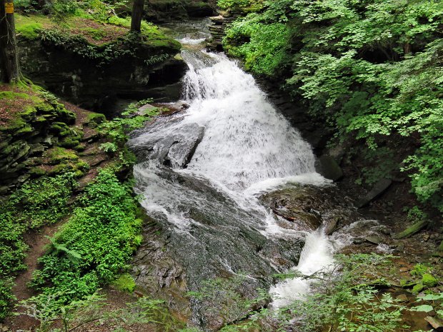 TroutCounterJul2017